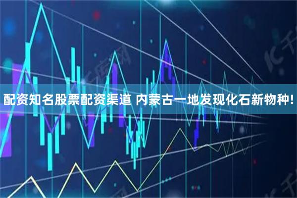 配资知名股票配资渠道 内蒙古一地发现化石新物种!